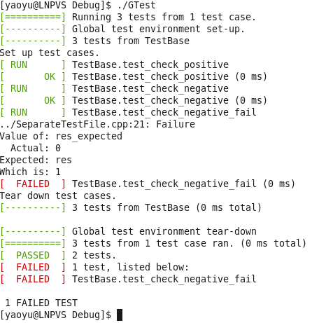 <img>Run Google Test in Terminal.