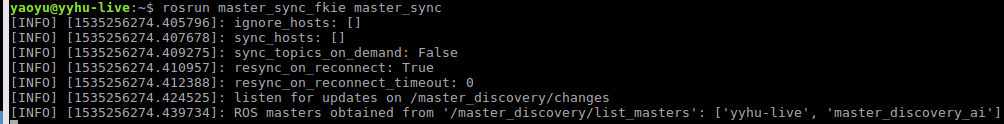 <img>Figure 4 Terminal output after starting master_sync node no C0.
